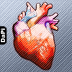 Heart Encyclopedia DaPi